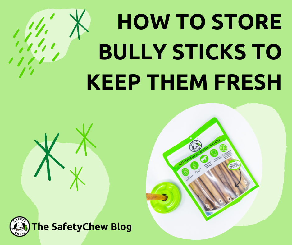 How to Store Bully Sticks to Keep Them Fresh: A Guide for Dog Owners