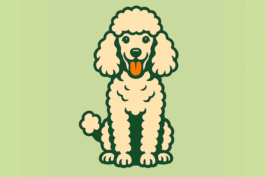 Poodle
