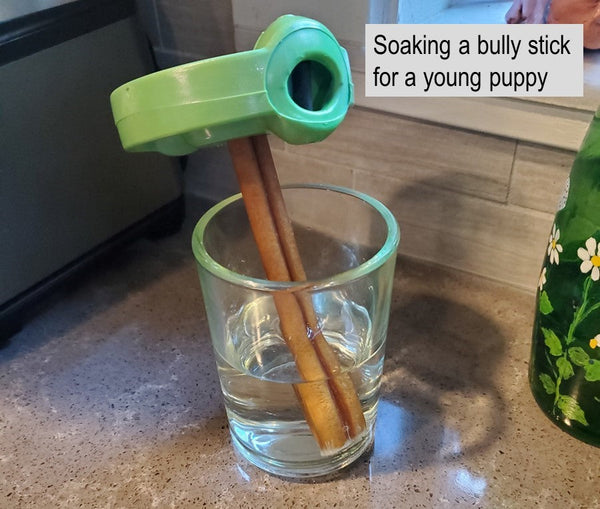 Soaking a bully stick in water