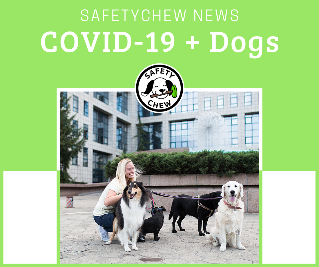 COVID-19 - How to Keep You & Your Pup Safe