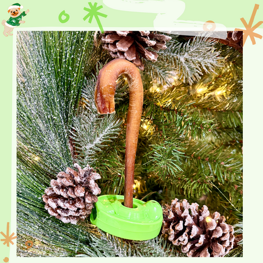 EverChew All-Natural Bully Stick CANDY CANES - Limited Quantity Available - Bully Stick SafetyChew