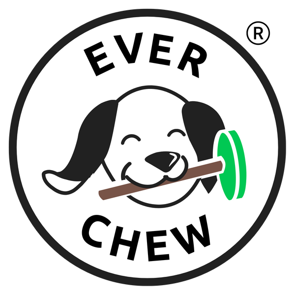 EverChew logo