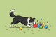 Border Collie: A Guide to Chewing Bully Sticks
