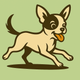 Chihuahuas: A Guide to Chewing Bully Sticks
