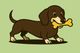 Dachshunds: A Guide to Chewing Bully Sticks