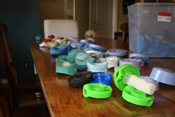 Early SafetyChew prototypes