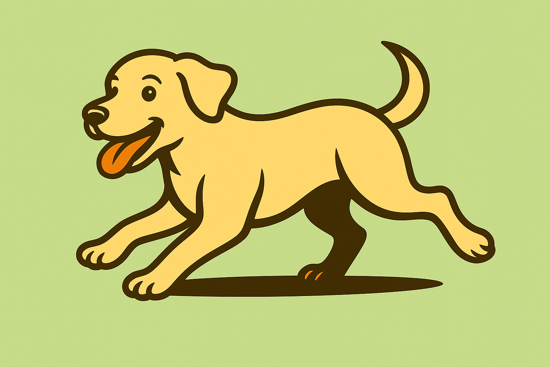 Labrador Retriever