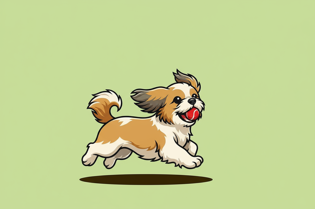 Shih Tzu