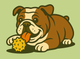English Bulldog: A Guide to Chewing Bully Sticks