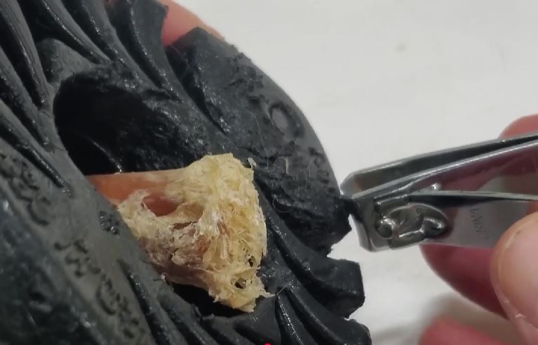 trimming holder with clippers