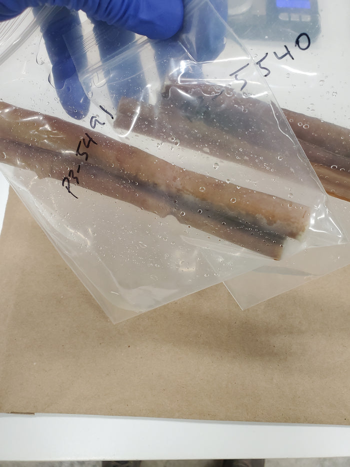 Rinse water being added to a bag containing EverChew dog chews