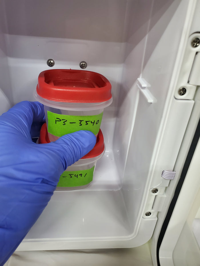 Prepared dog chew sample vials being placed into a laboratory incubator