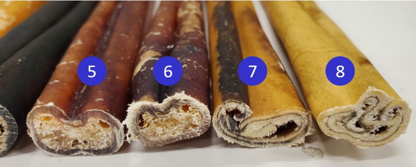 Cut end of a bully stick showing its solid protein fiber bundles