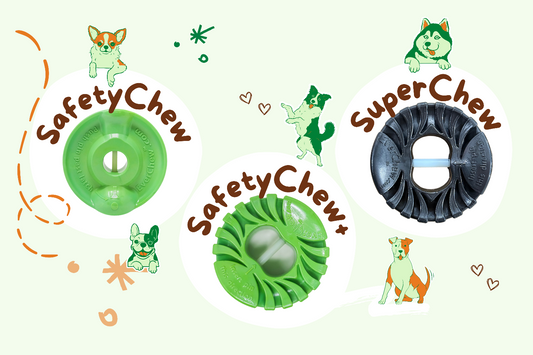 Collection of EverChew holders. SafetyChew, SafetyChew+, and Superchew holders. Friendly dog drawings and playful artwork.
