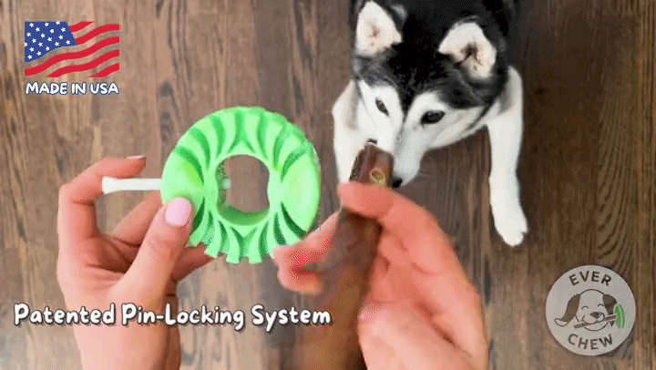 SafetyChew+ with bully stick and pin