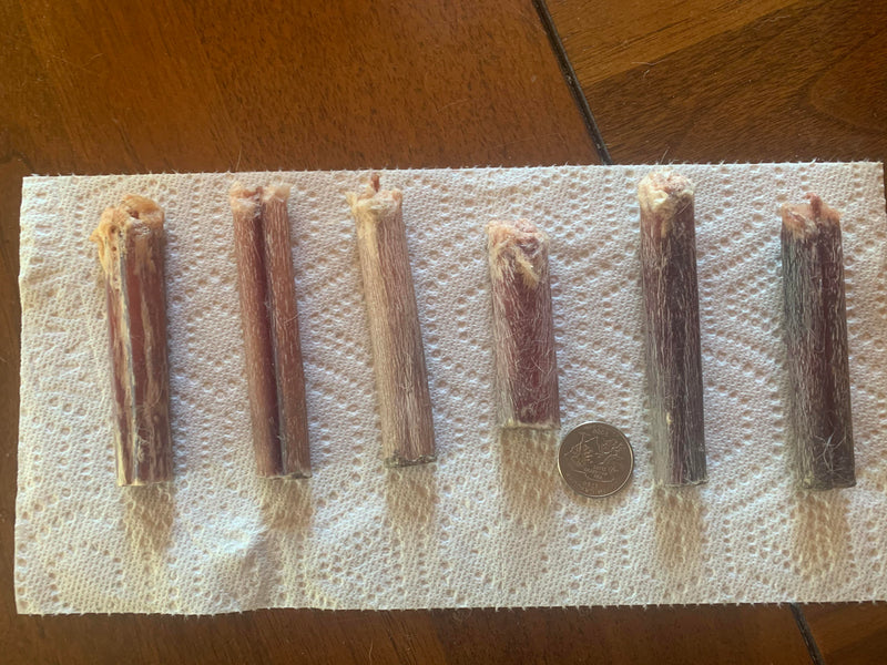 Bully stick nub risk